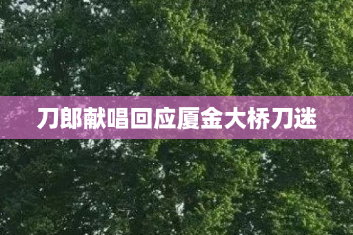 刀郎献唱回应厦金大桥刀迷