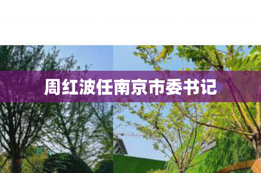 周红波任南京市委书记