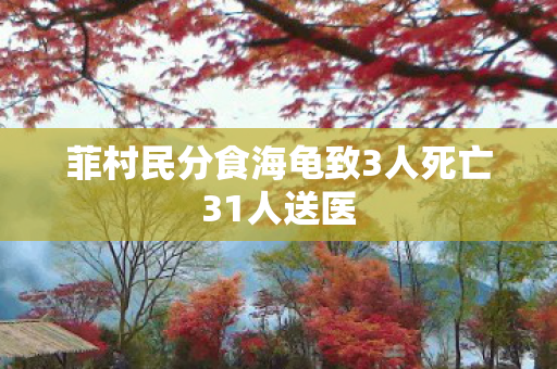 菲村民分食海龟致3人死亡31人送医