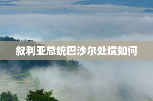 叙利亚总统巴沙尔处境如何