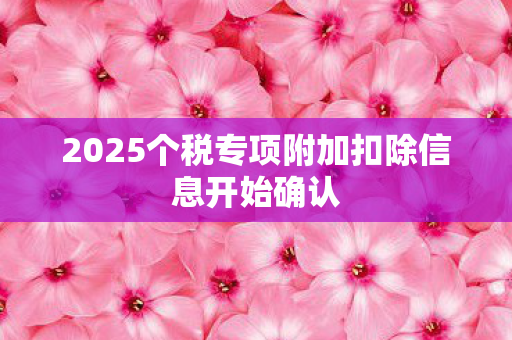2025个税专项附加扣除信息开始确认