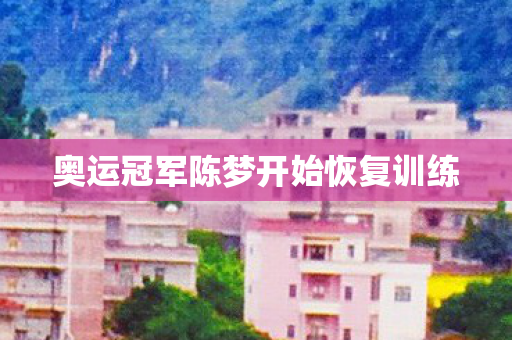 奥运冠军陈梦开始恢复训练