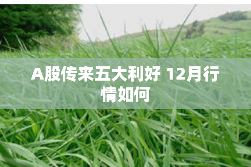 A股传来五大利好 12月行情如何