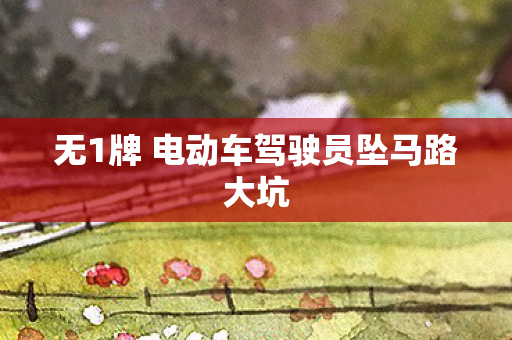 无1牌 电动车驾驶员坠马路大坑