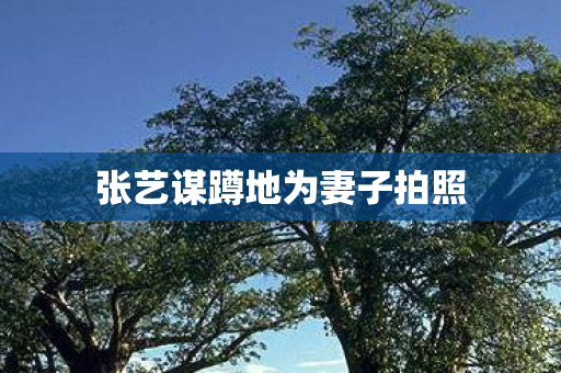 张艺谋蹲地为妻子拍照