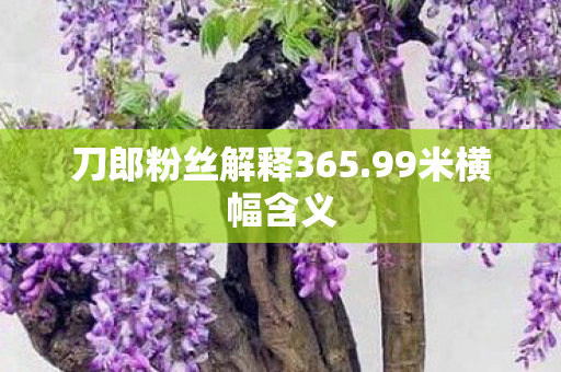 刀郎粉丝解释365.99米横幅含义