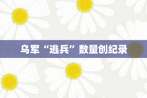 乌军“逃兵”数量创纪录