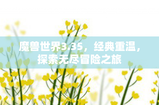 魔兽世界3.35，经典重温，探索无尽冒险之旅