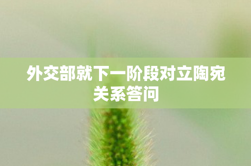 外交部就下一阶段对立陶宛关系答问