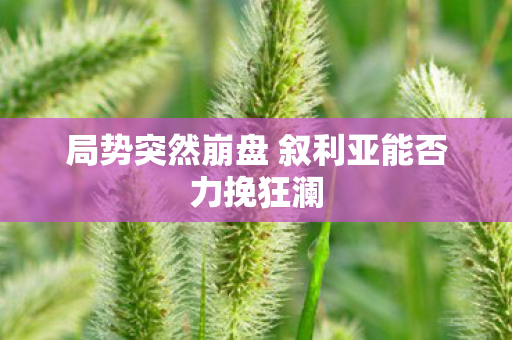 局势突然崩盘 叙利亚能否力挽狂澜