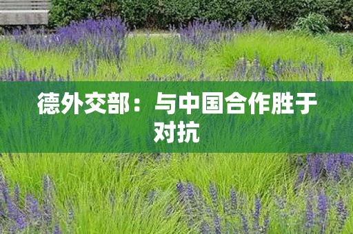 德外交部：与中国合作胜于对抗