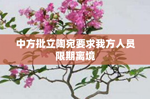 中方批立陶宛要求我方人员限期离境
