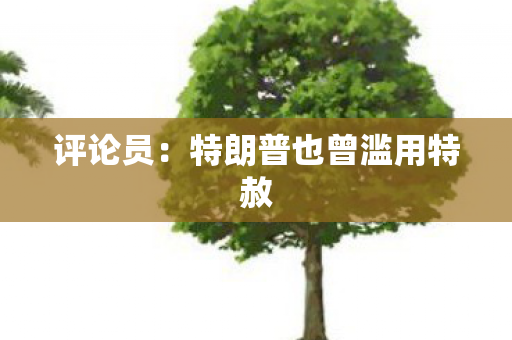 评论员：特朗普也曾滥用特赦
