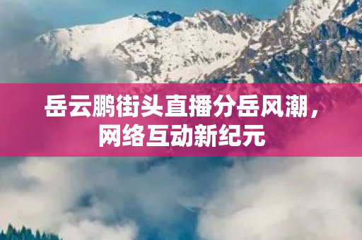 岳云鹏街头直播分岳风潮，网络互动新纪元