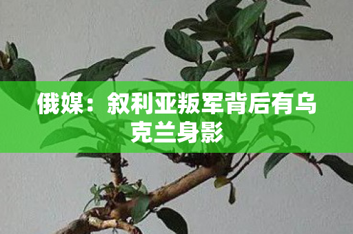 俄媒：叙利亚叛军背后有乌克兰身影