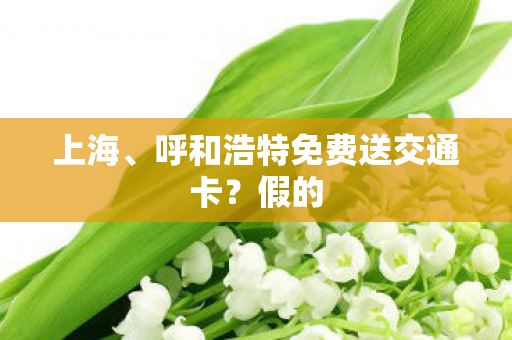 上海、呼和浩特免费送交通卡？假的