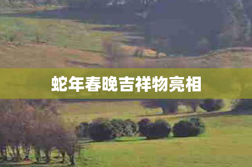 蛇年春晚吉祥物亮相