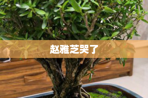赵雅芝哭了