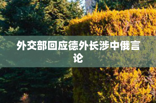 外交部回应德外长涉中俄言论