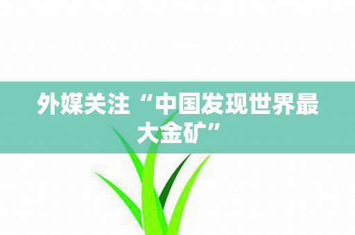 外媒关注“中国发现世界最大金矿”