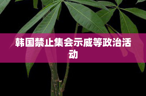韩国禁止集会示威等政治活动
