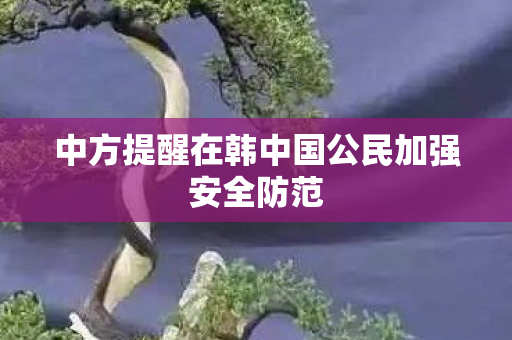 中方提醒在韩中国公民加强安全防范