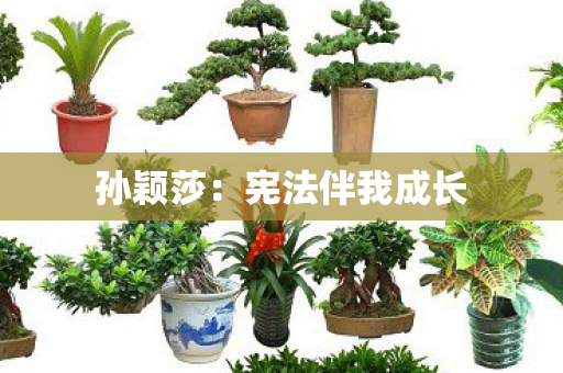 孙颖莎：宪法伴我成长