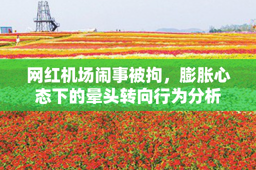 网红机场闹事被拘，膨胀心态下的晕头转向行为分析