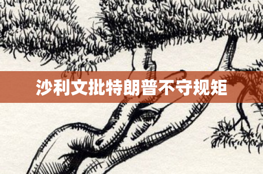 沙利文批特朗普不守规矩