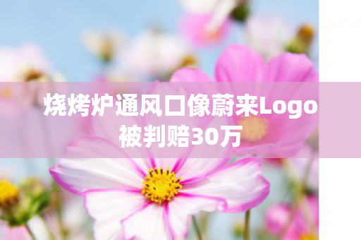 烧烤炉通风口像蔚来Logo被判赔30万