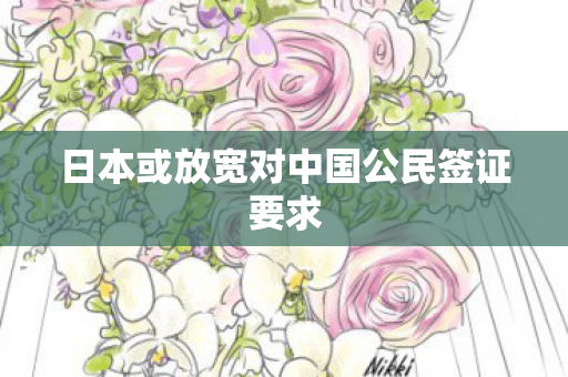 日本或放宽对中国公民签证要求