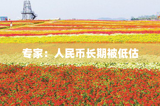 专家：人民币长期被低估