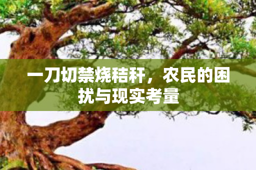 一刀切禁烧秸秆，农民的困扰与现实考量