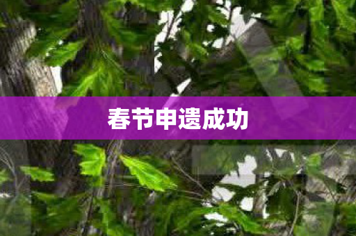 春节申遗成功
