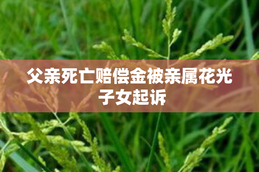 父亲死亡赔偿金被亲属花光 子女起诉