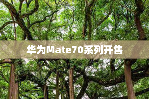 华为Mate70系列开售