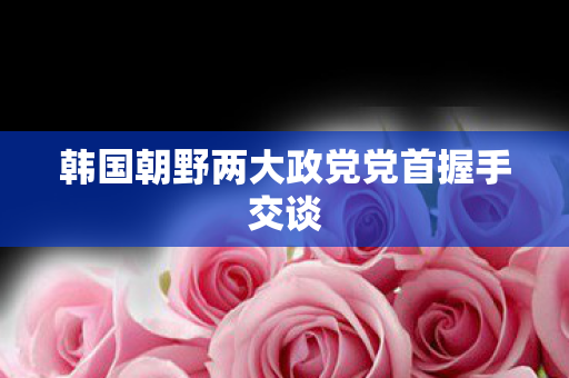 韩国朝野两大政党党首握手交谈