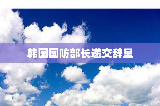 韩国国防部长递交辞呈