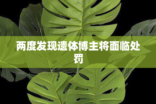 两度发现遗体博主将面临处罚