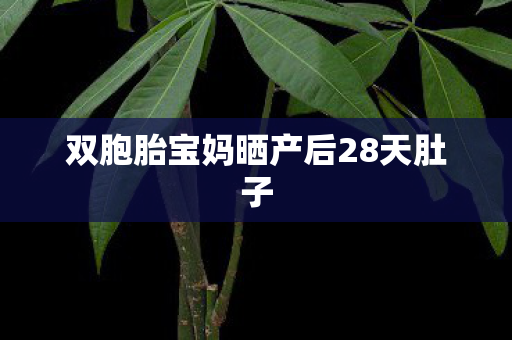 双胞胎宝妈晒产后28天肚子