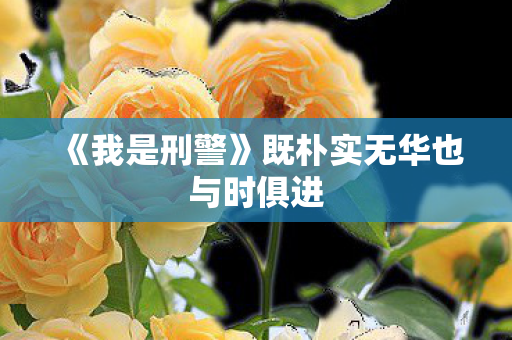 《我是刑警》既朴实无华也与时俱进