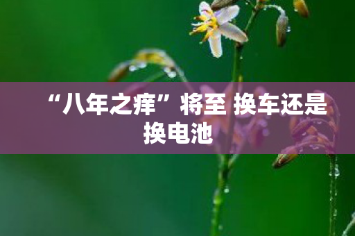 “八年之痒”将至 换车还是换电池