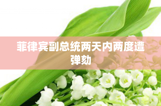 菲律宾副总统两天内两度遭弹劾
