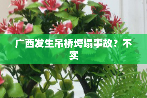 广西发生吊桥垮塌事故？不实