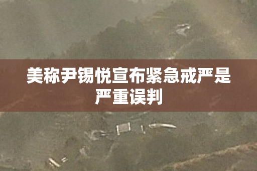 美称尹锡悦宣布紧急戒严是严重误判