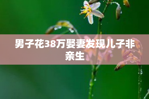 男子花38万娶妻发现儿子非亲生