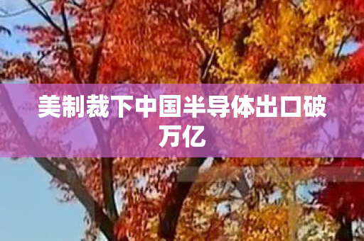 美制裁下中国半导体出口破万亿