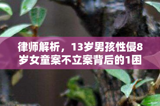 律师解析，13岁男孩性侵8岁女童案不立案背后的1困境与思考