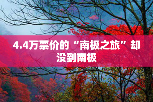 4.4万票价的“南极之旅”却没到南极