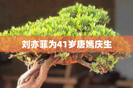 刘亦菲为41岁唐嫣庆生